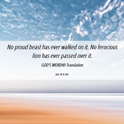 Picture 06 - Job 28:8 GW - No proud beast has ever walked on it. No - Bible Verse Picture