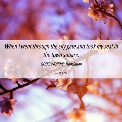 Picture 06 - Job 29:7 GW - When I went through the city gate and took my - Bible Verse Picture
