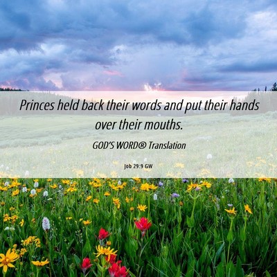 Picture 06 - Job 29:9 GW - Princes held back their words and put their hands - Bible Verse Picture