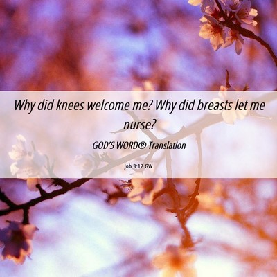 Picture 06 - Job 3:12 GW - Why did knees welcome me? Why did breasts let me - Bible Verse Picture