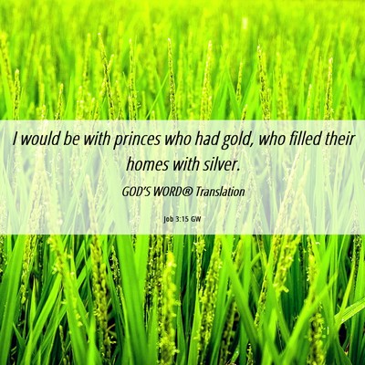 Picture 06 - Job 3:15 GW - I would be with princes who had gold, who filled - Bible Verse Picture
