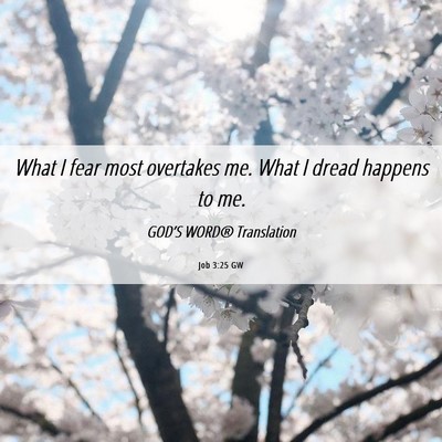 Picture 06 - Job 3:25 GW - What I fear most overtakes me. What I dread - Bible Verse Picture