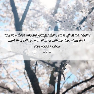 Picture 06 - Job 30:1 GW - “But now those who are younger than I am laugh - Bible Verse Picture