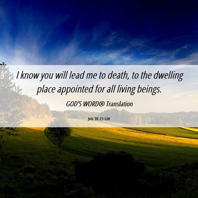 Picture 06 - Job 30:23 GW - I know you will lead me to death, to the dwelling - Bible Verse Picture