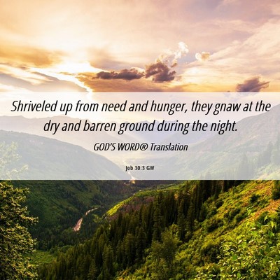 Picture 06 - Job 30:3 GW - Shriveled up from need and hunger, they gnaw at - Bible Verse Picture