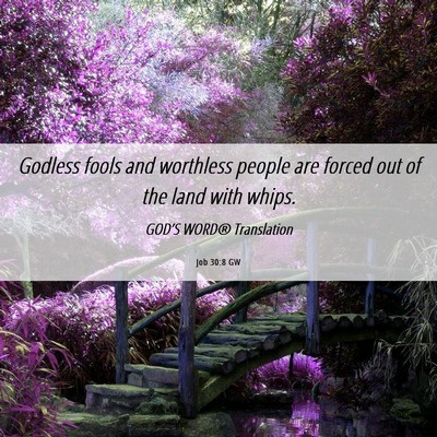 Picture 06 - Job 30:8 GW - Godless fools and worthless people are forced out - Bible Verse Picture
