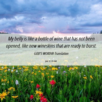 Picture 06 - Job 32:19 GW - My belly is like a bottle of wine that has not - Bible Verse Picture