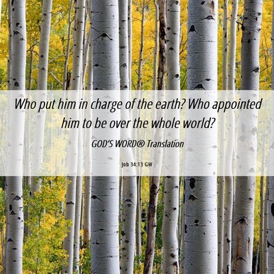 Picture 06 - Job 34:13 GW - Who put him in charge of the earth? Who appointed - Bible Verse Picture