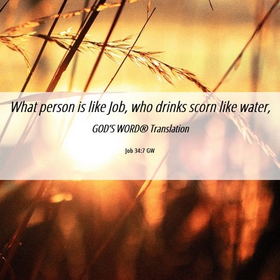 Picture 06 - Job 34:7 GW - What person is like Job, who drinks scorn like - Bible Verse Picture