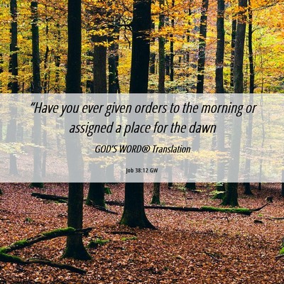 Picture 06 - Job 38:12 GW - “Have you ever given orders to the morning or - Bible Verse Picture