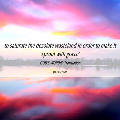 Picture 06 - Job 38:27 GW - to saturate the desolate wasteland in order to - Bible Verse Picture