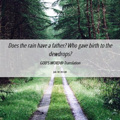 Picture 06 - Job 38:28 GW - Does the rain have a father? Who gave birth to - Bible Verse Picture