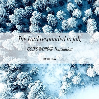 Picture 06 - Job 40:1 GW - The Lord responded to - Bible Verse Picture