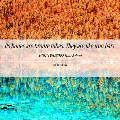 Picture 06 - Job 40:18 GW - Its bones are bronze tubes. They are like iron - Bible Verse Picture