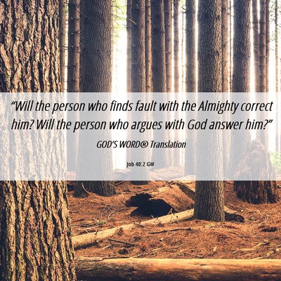 Picture 06 - Job 40:2 GW - “Will the person who finds fault with the - Bible Verse Picture