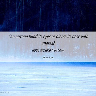 Picture 06 - Job 40:24 GW - Can anyone blind its eyes or pierce its nose with - Bible Verse Picture
