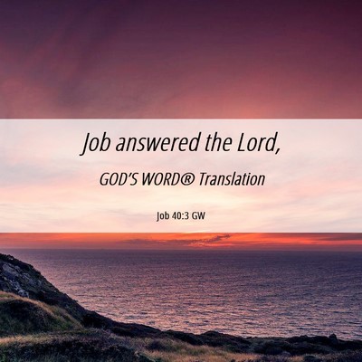 Picture 06 - Job 40:3 GW - Job answered the - Bible Verse Picture