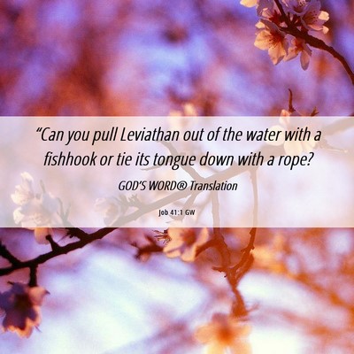 Picture 06 - Job 41:1 GW - “Can you pull Leviathan out of the water with a - Bible Verse Picture