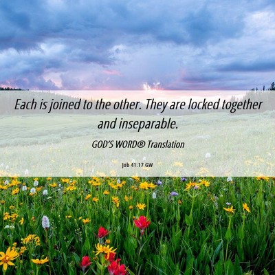 Picture 06 - Job 41:17 GW - Each is joined to the other. They are locked - Bible Verse Picture