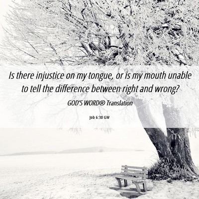 Picture 06 - Job 6:30 GW - Is there injustice on my tongue, or is my mouth - Bible Verse Picture