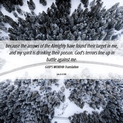 Picture 06 - Job 6:4 GW - because the arrows of the Almighty have found - Bible Verse Picture