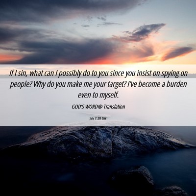 Picture 06 - Job 7:20 GW - If I sin, what can I possibly do to you since you - Bible Verse Picture