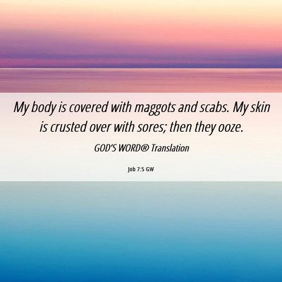 Picture 06 - Job 7:5 GW - My body is covered with maggots and scabs. My - Bible Verse Picture