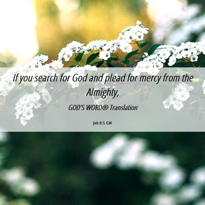 Picture 06 - Job 8:5 GW - If you search for God and plead for mercy from - Bible Verse Picture