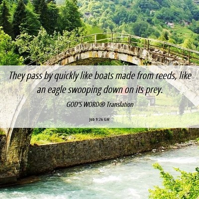 Picture 06 - Job 9:26 GW - They pass by quickly like boats made from reeds, - Bible Verse Picture