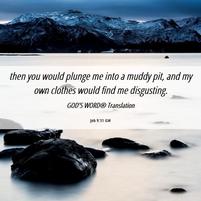 Picture 06 - Job 9:31 GW - then you would plunge me into a muddy pit, and my - Bible Verse Picture