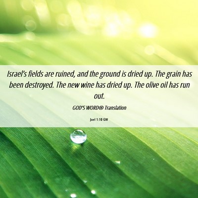 Picture 06 - Joel 1:10 GW - Israel’s fields are ruined, and the ground is - Bible Verse Picture