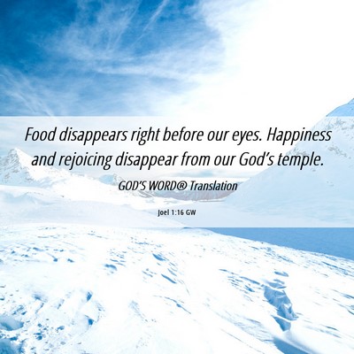 Picture 06 - Joel 1:16 GW - Food disappears right before our eyes. Happiness - Bible Verse Picture