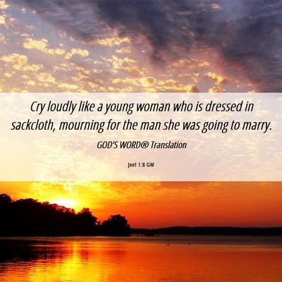 Picture 06 - Joel 1:8 GW - Cry loudly like a young woman who is dressed in - Bible Verse Picture