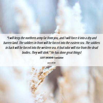 Picture 06 - Joel 2:20 GW - “I will keep the northern army far from you, - Bible Verse Picture