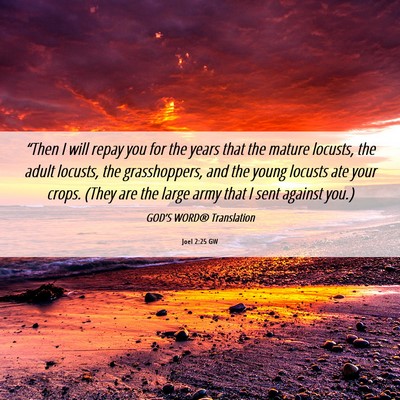 Picture 06 - Joel 2:25 GW - “Then I will repay you for the years that the - Bible Verse Picture