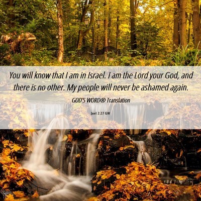 Picture 06 - Joel 2:27 GW - You will know that I am in Israel. I am the Lord - Bible Verse Picture
