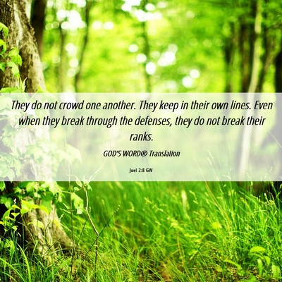 Picture 06 - Joel 2:8 GW - They do not crowd one another. They keep in their - Bible Verse Picture