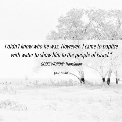 Picture 06 - John 1:31 GW - I didn’t know who he was. However, I came to - Bible Verse Picture
