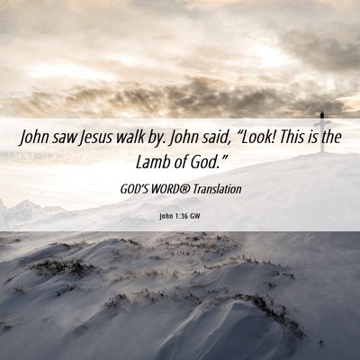 Picture 06 - John 1:36 GW - John saw Jesus walk by. John said, “Look! This - Bible Verse Picture
