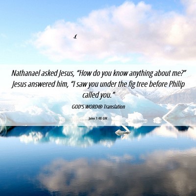 Picture 06 - John 1:48 GW - Nathanael asked Jesus, “How do you know - Bible Verse Picture