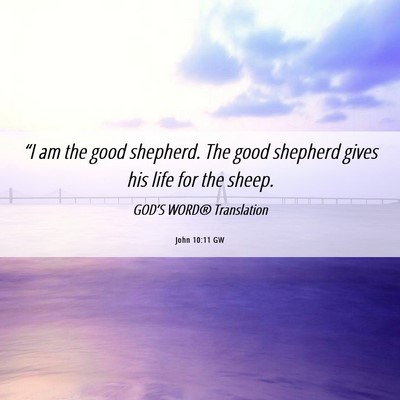 Picture 06 - John 10:11 GW - “I am the good shepherd. The good shepherd - Bible Verse Picture