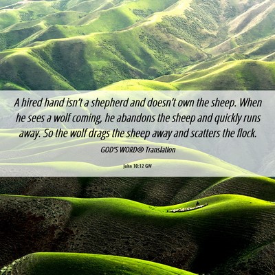 Picture 06 - John 10:12 GW - A hired hand isn’t a shepherd and doesn’t own - Bible Verse Picture