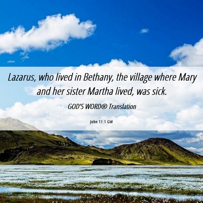 Picture 06 - John 11:1 GW - Lazarus, who lived in Bethany, the village where - Bible Verse Picture
