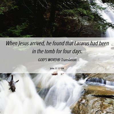 Picture 06 - John 11:17 GW - When Jesus arrived, he found that Lazarus had - Bible Verse Picture