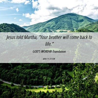 Picture 06 - John 11:23 GW - Jesus told Martha, “Your brother will come back - Bible Verse Picture