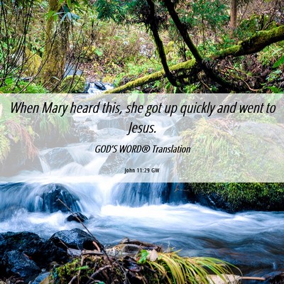 Picture 06 - John 11:29 GW - When Mary heard this, she got up quickly and went - Bible Verse Picture