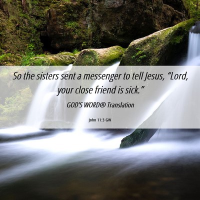 Picture 06 - John 11:3 GW - So the sisters sent a messenger to tell Jesus, - Bible Verse Picture