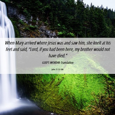 Picture 06 - John 11:32 GW - When Mary arrived where Jesus was and saw him, - Bible Verse Picture