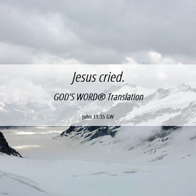 Picture 06 - John 11:35 GW - Jesus - Bible Verse Picture
