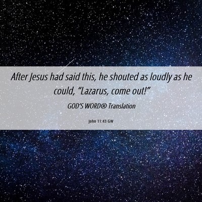 Picture 06 - John 11:43 GW - After Jesus had said this, he shouted as loudly - Bible Verse Picture